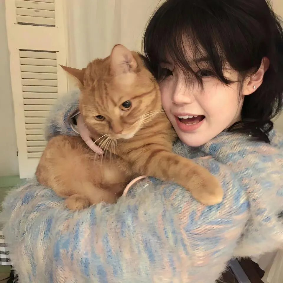 虹猫蓝兔七侠外传 跳跳篇