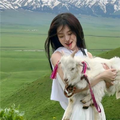 终结杉计划